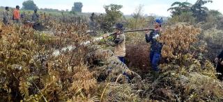 Api berhasil dipadamkan, Polisi Lidik Pelaku Pembakaran